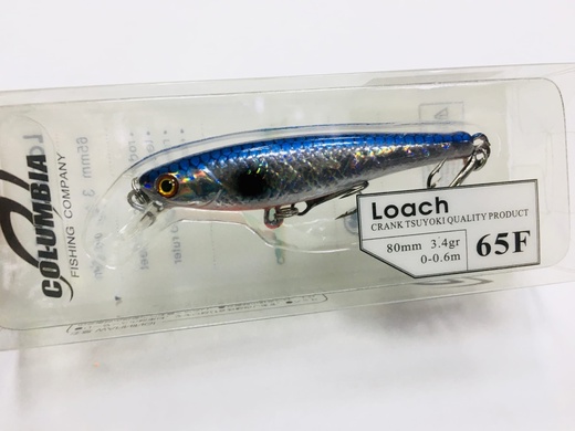 Loach 65 F #16