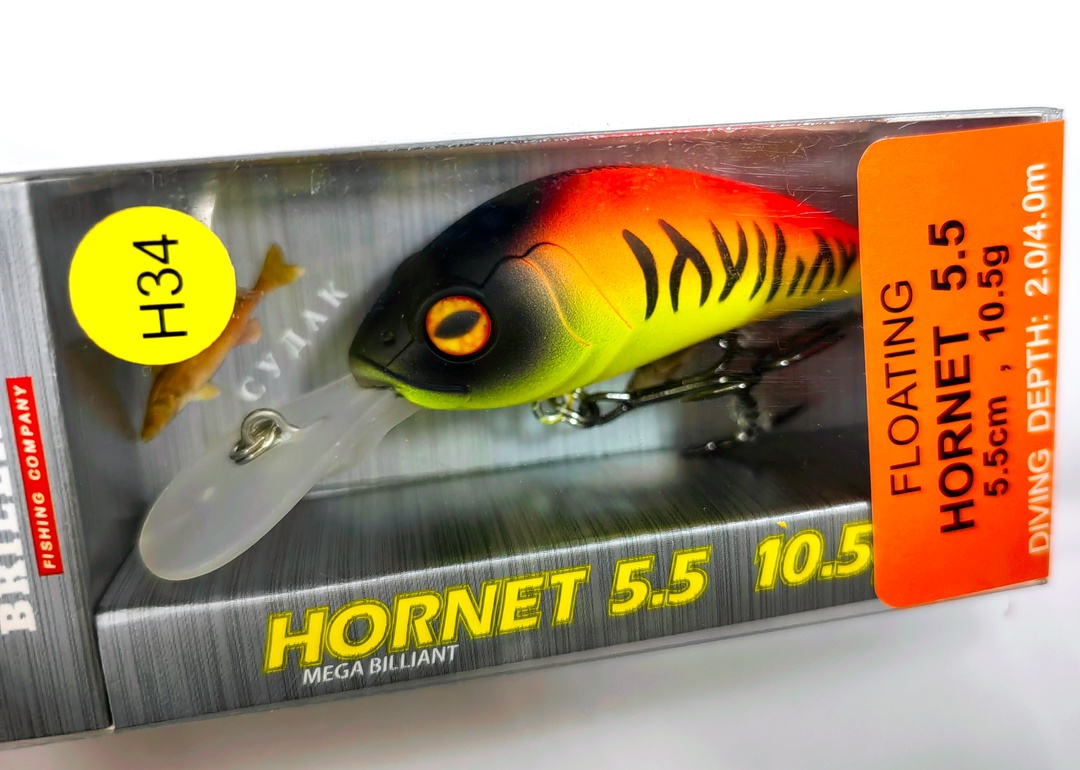 Hornet 55 F (#H34)