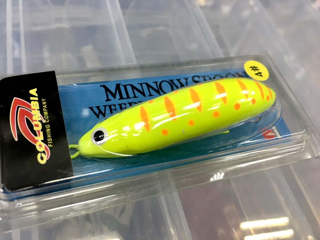 Minnow Spoon 9g. #21