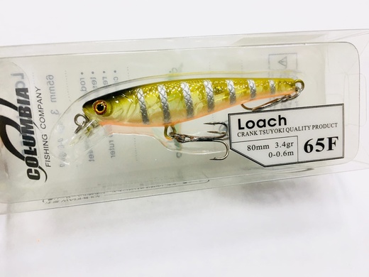Loach 65 F #08