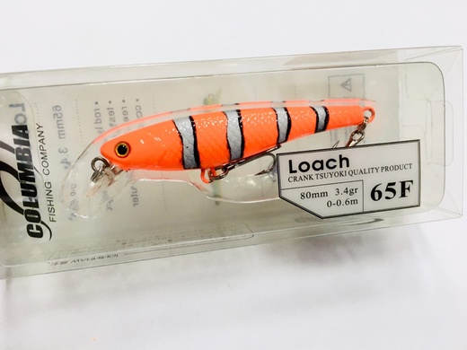 Loach 65 F #01