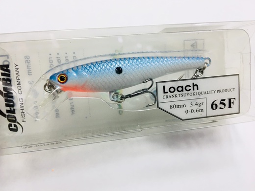 Loach 65 F #02