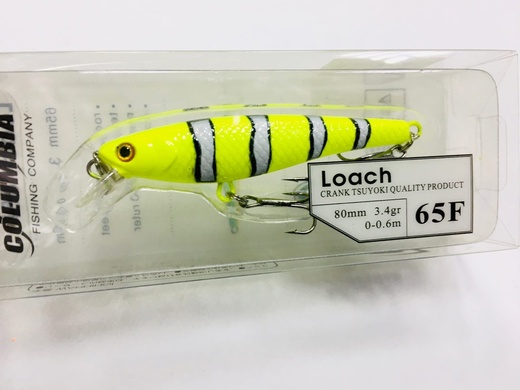 Loach 65 F #19