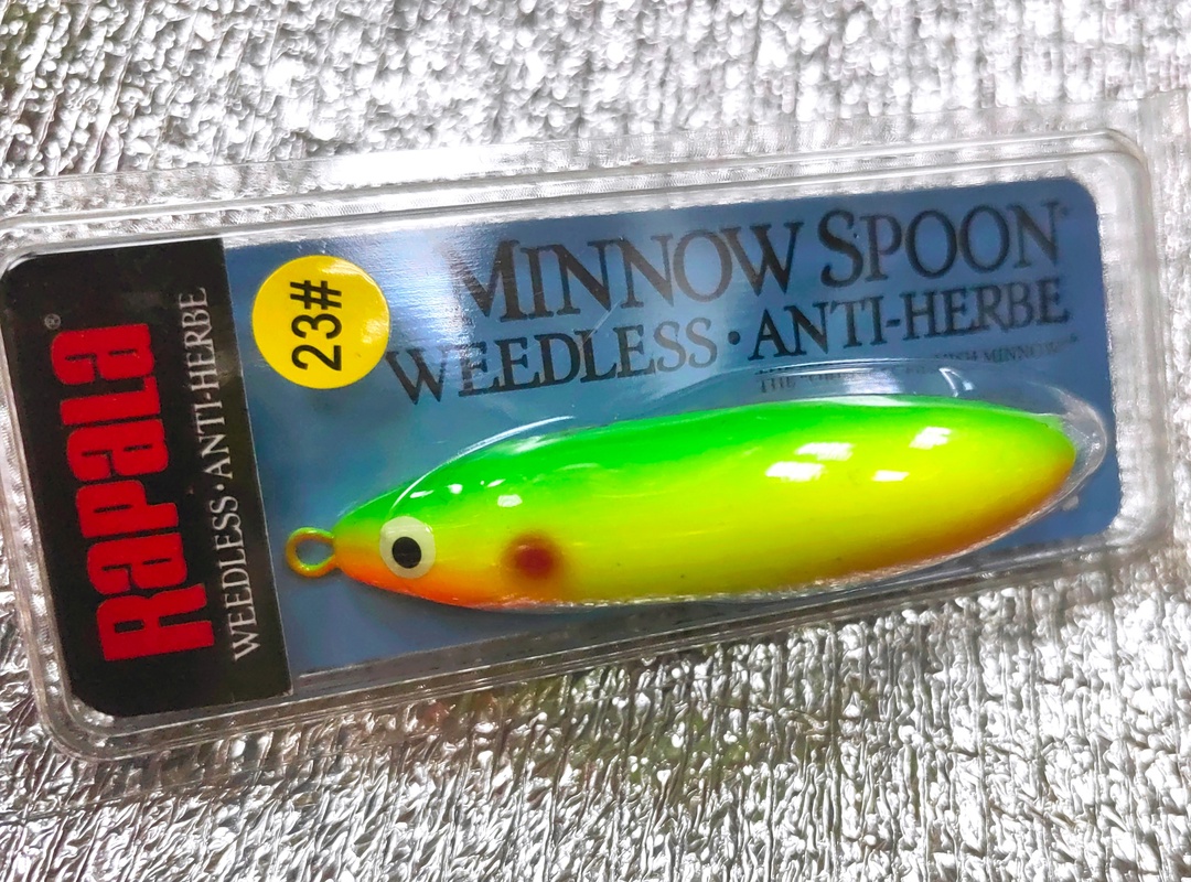 Minnow Spoon 9g. #23