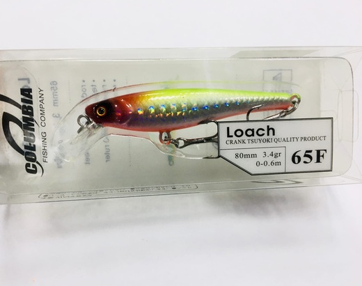 Loach 65 F #04