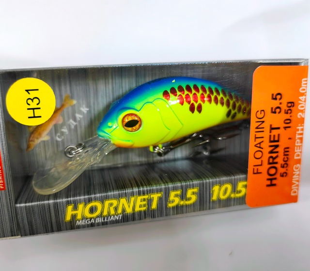 Hornet 55 F (#H31)