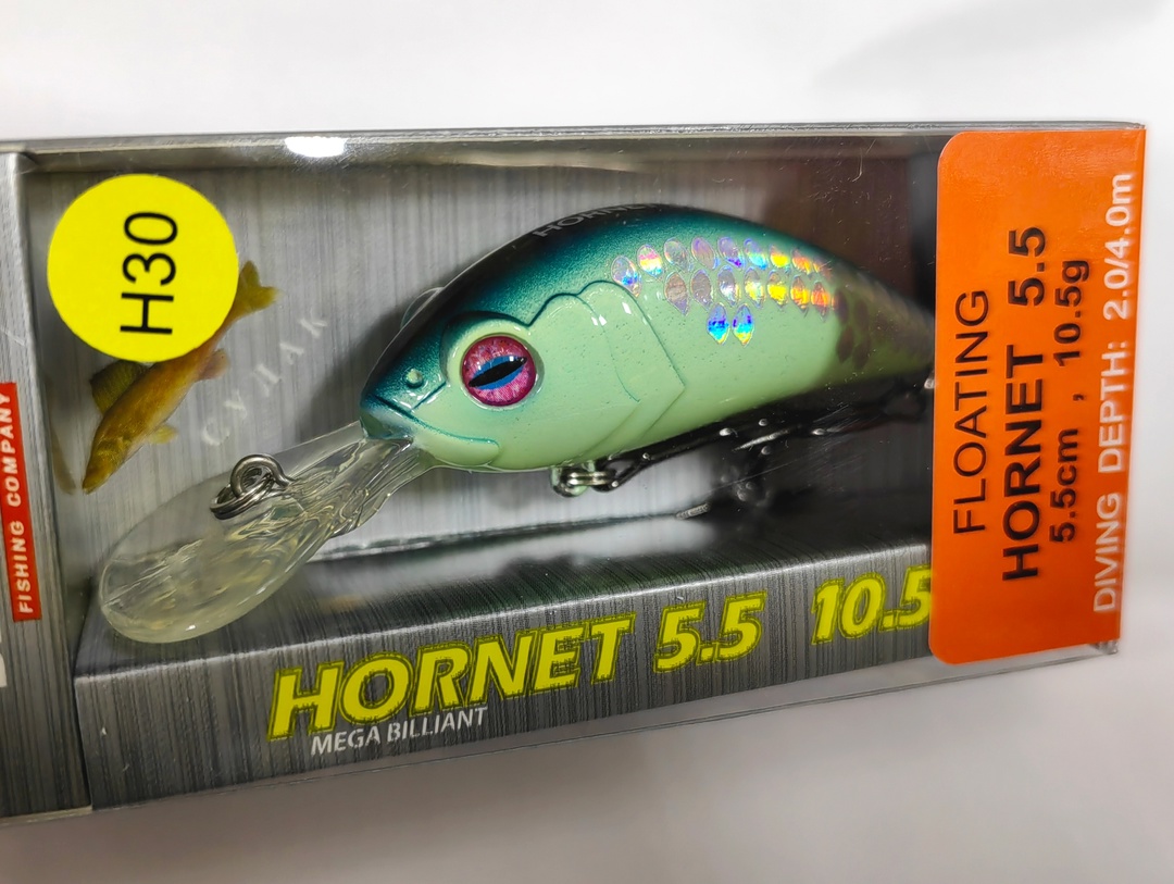 Hornet 55 F (#H30)