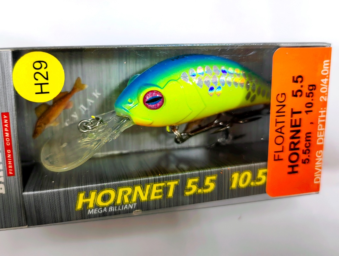 Hornet 55 F (#H29)