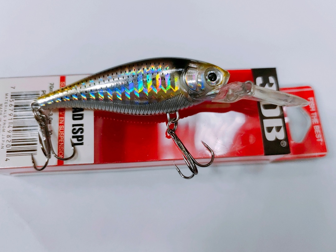 3DB Shad 70 SP (#16)