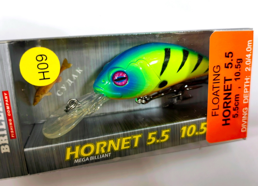 Hornet 55 F (#H09)